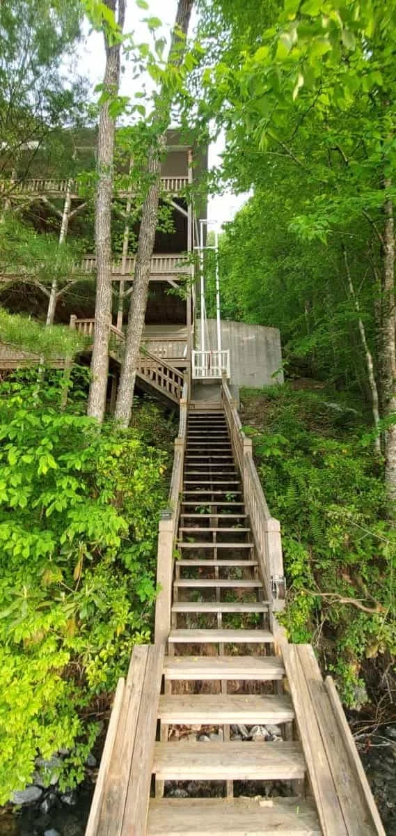 Wooden staircase leading up a hillside. Home elevators visible to the right amid dense green forest and multi-level wooden structure.