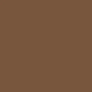 Solid brown square with no distinct features.